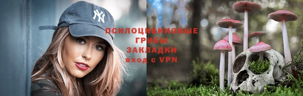 круглые Алексеевка