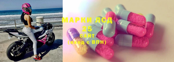 хмурый Алзамай