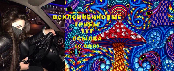 дурь Алексин