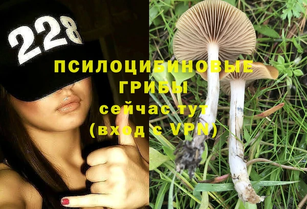дурь Алексин