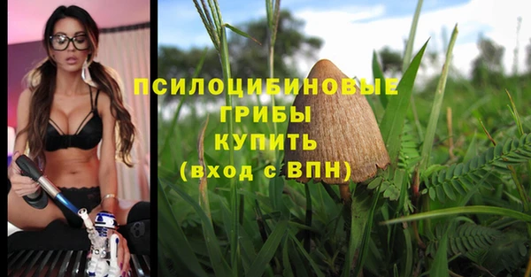 хмурый Алзамай