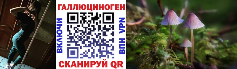 MEGA маркетплейс  Кимры  Псилоцибиновые грибы Psilocybine cubensis 